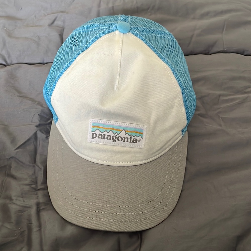 Patagonia baseball hat